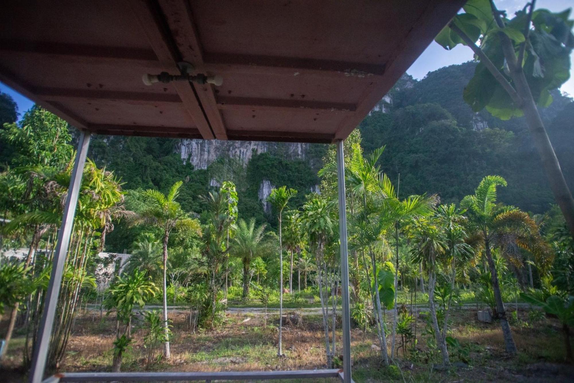 The Camper Lodge Khao Sok Ban Bang Bon Dış mekan fotoğraf